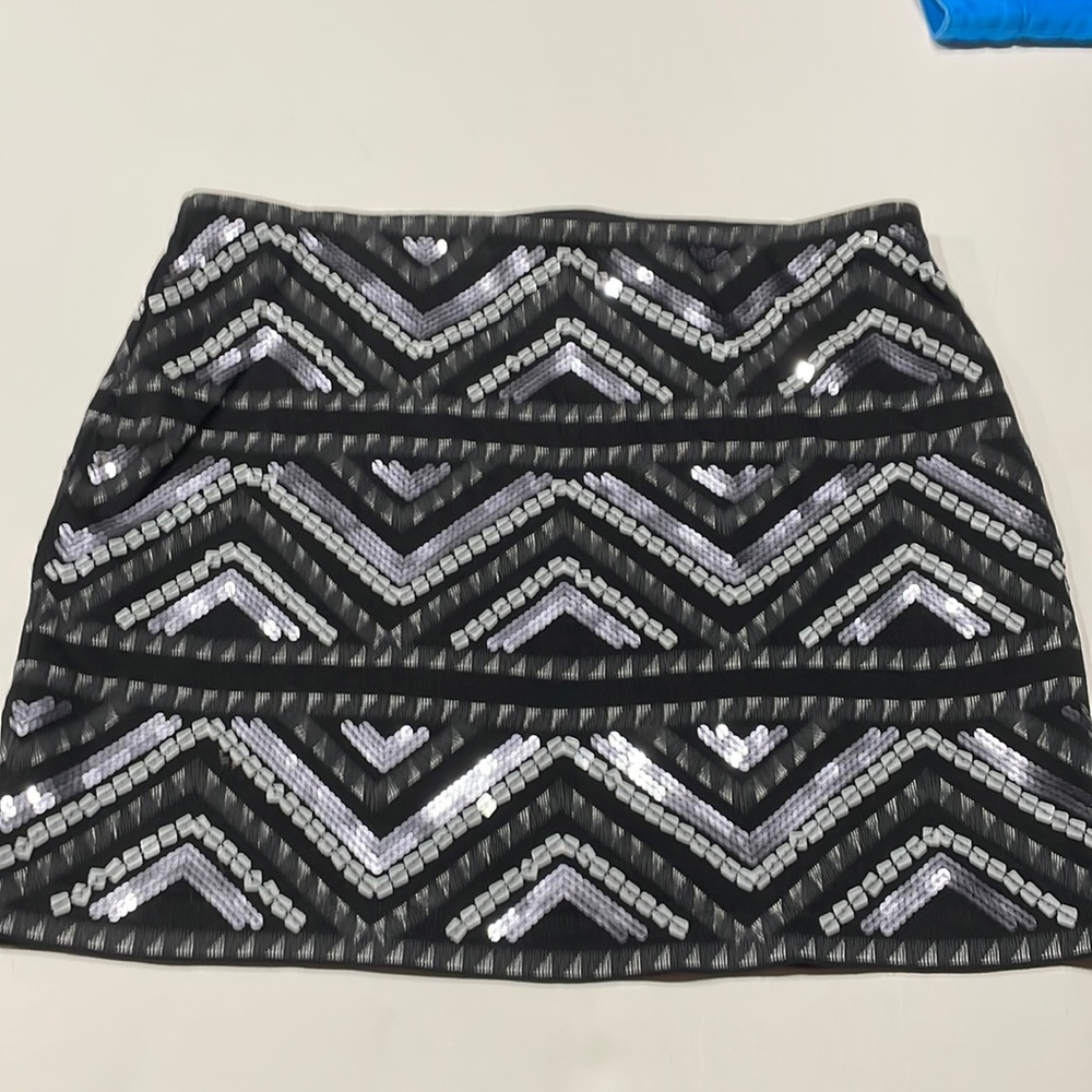 Express skirt small Petite